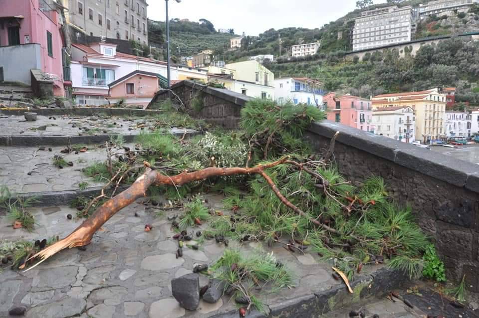 Sorrento albero caduto Villa Tritone