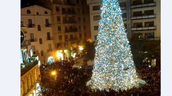 Albero di Salerno 