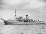 Ritrovata nave inglese affontada nel 1943 (Found English ship sunk in 1943)