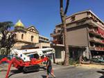 Gragnano alberi che si vogliono abbattere