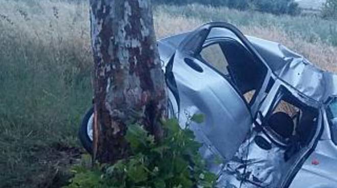 incidente auto in albero