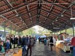 Piano di Sorrento. L'uva di sabato al Mercato della Terra