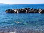 ultimo tuffo conca dei marini