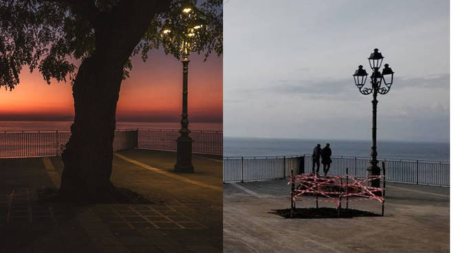 Meta, Sorrento. Addio all'albero di Piazza Scarpati