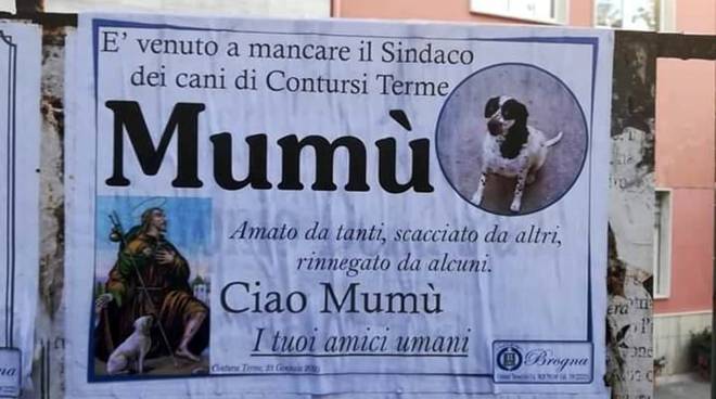 Mumù