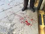 Piano di Sorrento. Cane investito in Via San Michele: le foto orribili del sangue in strada