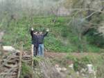 Alla scoperta degli alberi monumentali della penisola sorrentina, la Roverella di Anastasio