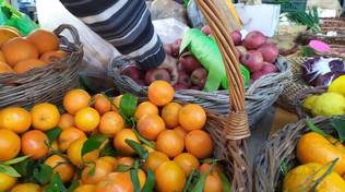 Piano di Sorrento. Mercato Slow Food tra splendidi odori e sapori