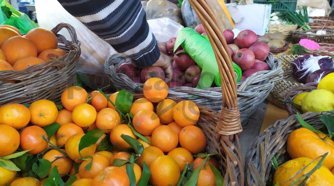 Piano di Sorrento. Mercato Slow Food tra splendidi odori e sapori