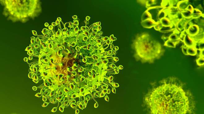 Coronavirus 