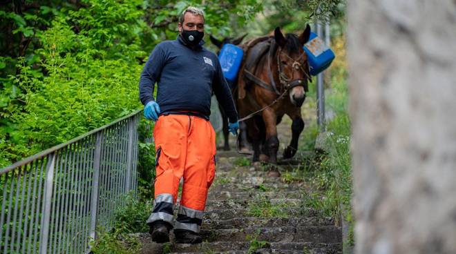 amalfi ciucciarielli sanificazione michele abbagnara repubblica