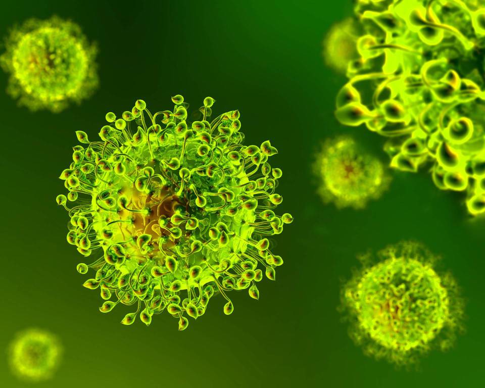 coronavirus 