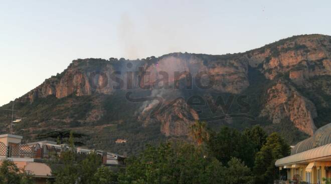 Incendio Alberi 