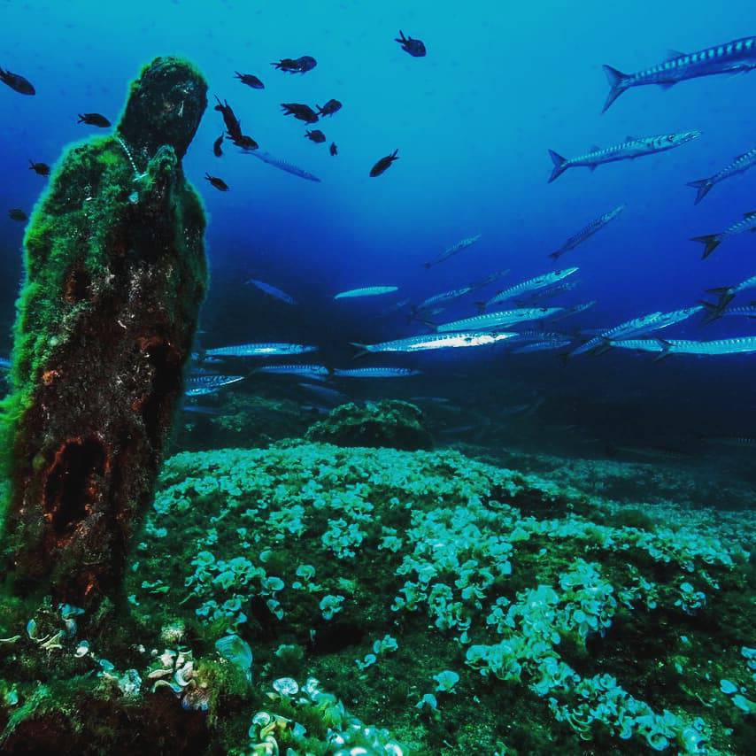 Punta Campanella, grandi numeri per la campagna social "Le meraviglie delle aree protette a casa"