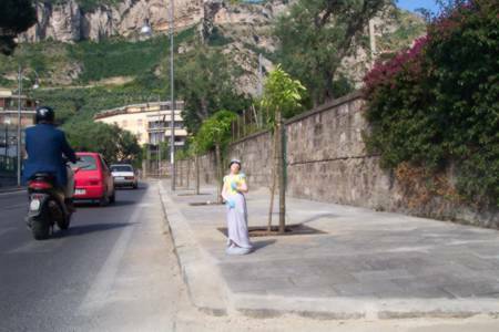 Piano di Sorrento, danni agli aranci mai cresciuti sul Corso Italia