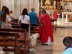 Positano. Benedizione dei cani ai tempi del Covid