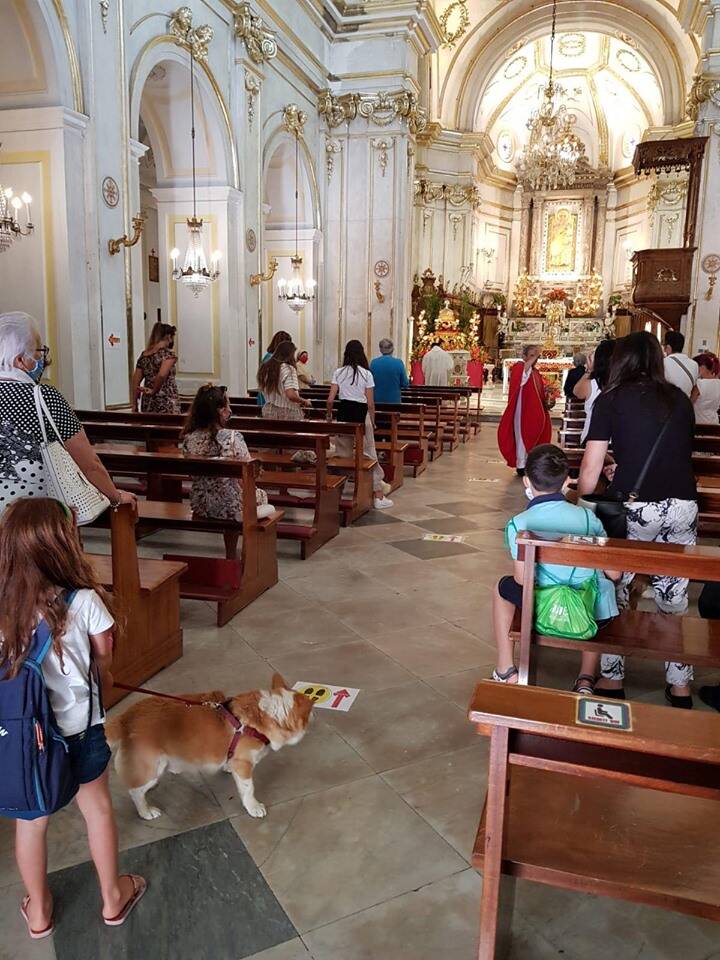 Positano. Benedizione dei cani ai tempi del Covid