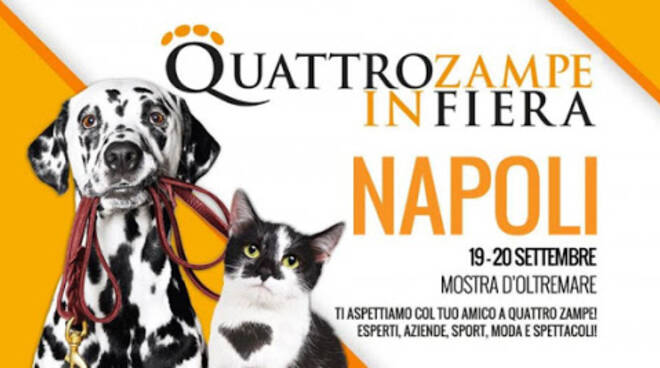 Quattrozampeinfiera si parte da Napoli!