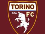 torino calcio