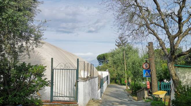 piscina piano