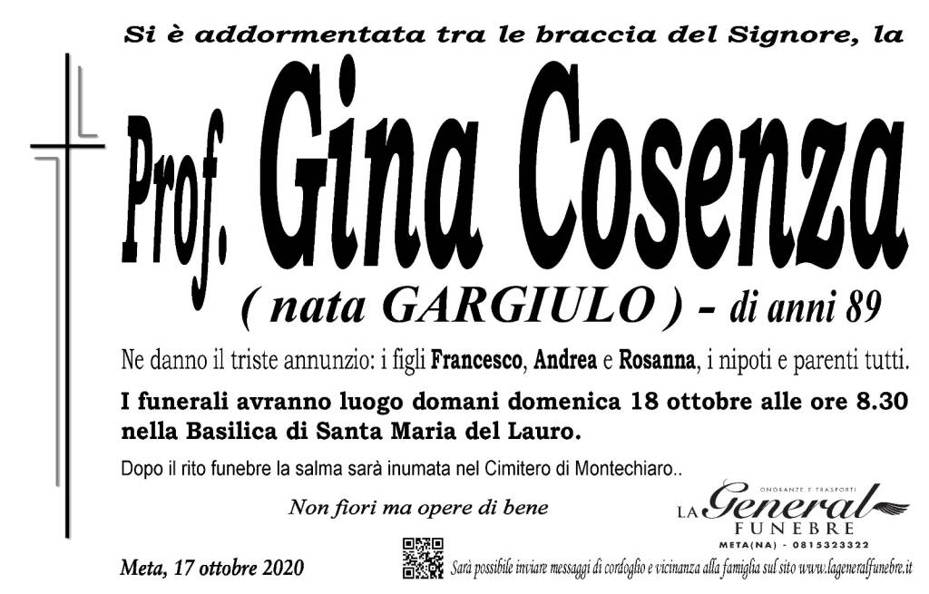 prof gina cosenza meta