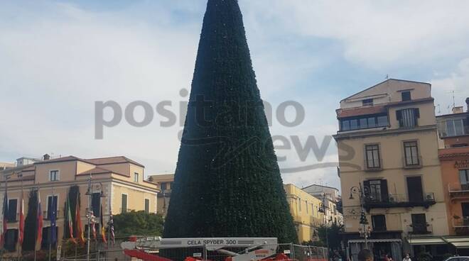 albero