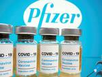 Pfizer all\'EMA per il via libera mentre in Cina è stato inoculato il primo vaccino a un milione di cavie