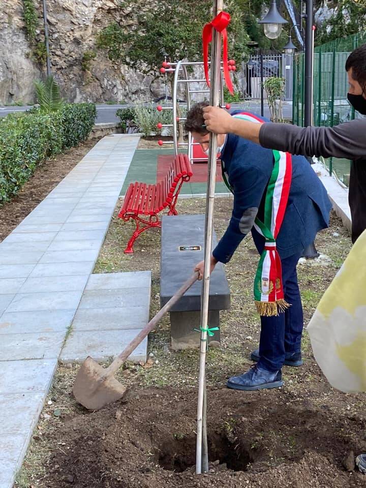 Positano, Giornata dell'Albero. Il sindaco: "Piantare un albero è un gesto di fiducia verso il domani"