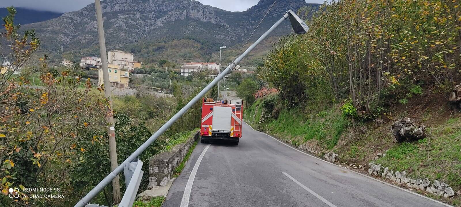 tramonti alberi