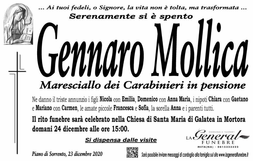 gennaro mollica 