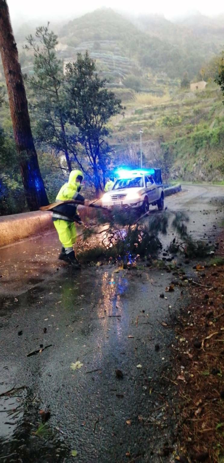 Maiori pietre e rami di alberi sulla SS 163 interviene la protezione civile 