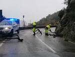 Maiori pietre e rami di alberi sulla SS 163 interviene la protezione civile 