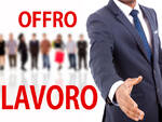 offro lavoro