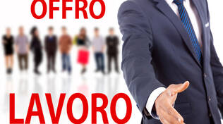 offro lavoro