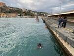 Balena morta a Sorrento 