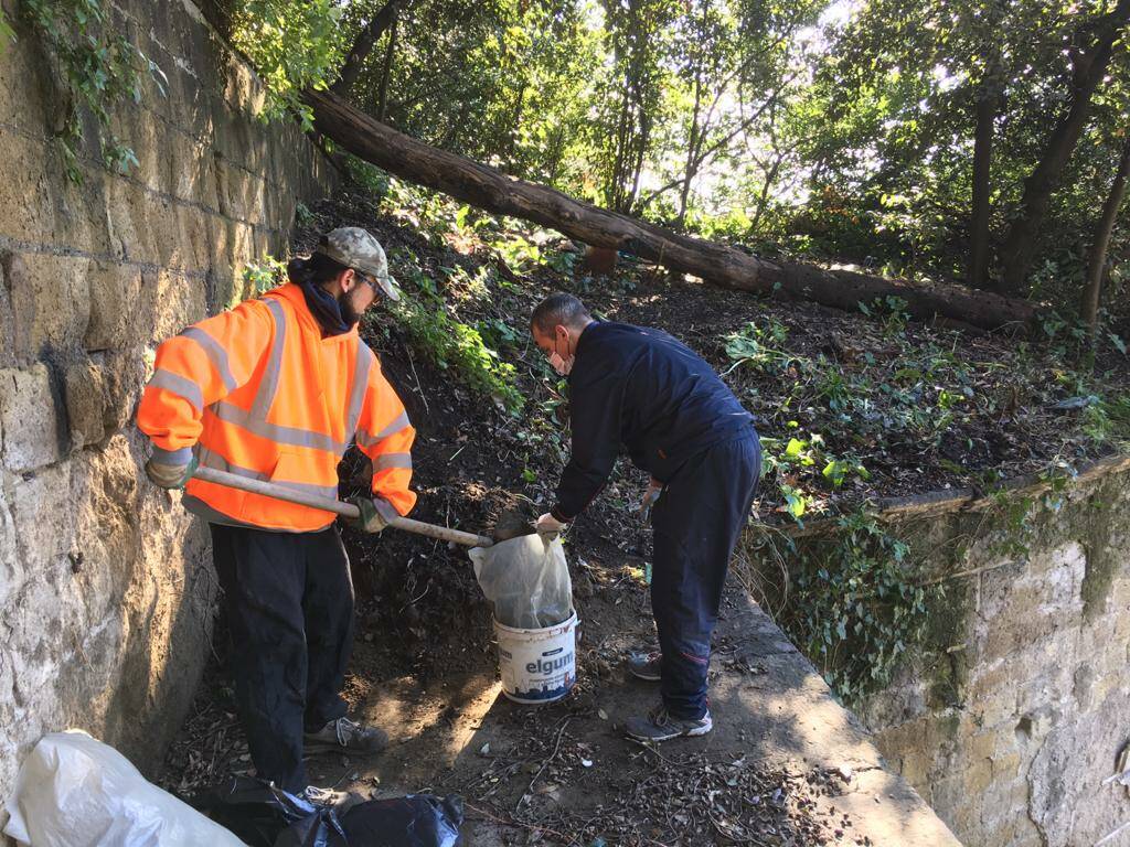 Risultato immagini per BONIFICA TONDO DI CAPODIMONTE