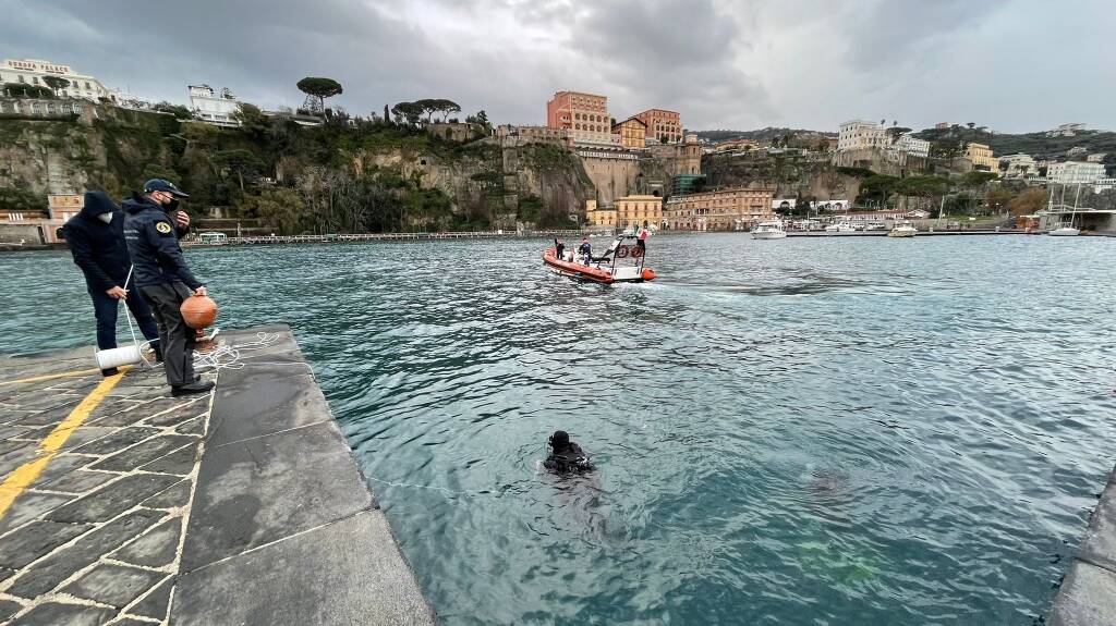 Corpo balenottera individuato a 20 metri di profondità nel porto di Sorrento.