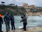 Corpo balenottera individuato a 20 metri di profondità nel porto di Sorrento.