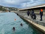 Corpo balenottera individuato a 20 metri di profondità nel porto di Sorrento.
