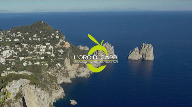 L’Oro di Capri celebra i suoi primi 7 anni di attività con un docu-video. L’attività dei soci prosegue adesso con la potatura