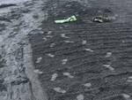 Sorrento, oggi le pulizie della spiaggetta della Marina Piccola