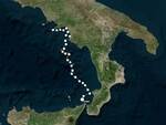 Da Punta Campanella alla Sicilia, il viaggio della tartaruga Eleonora. 520 km in 18 giorni