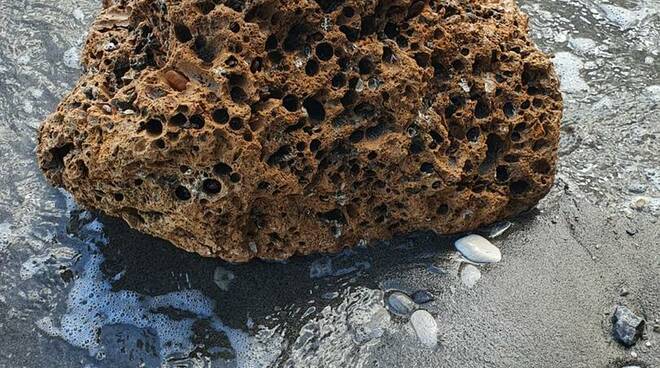 Vietri sul Mare, ennesimo danno ai Due Fratelli dai cercatori di datteri di mare