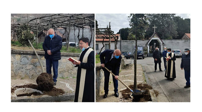 Agerola, piantato un leccio dinanzi al Cimitero per onorare le vittime della pandemia