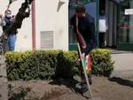 Positano, piantumato il primo albero di ulivo in ricordo delle vittime del covid