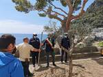 Positano, piantumato il primo albero di ulivo in ricordo delle vittime del covid