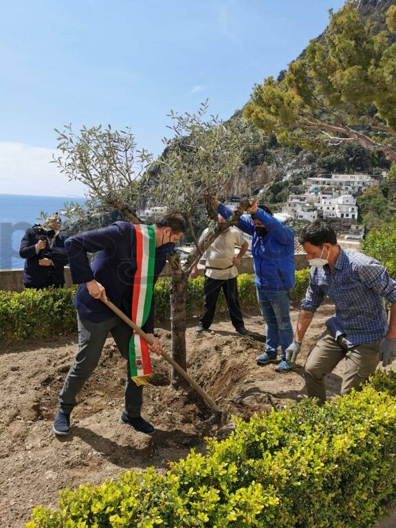 Positano, piantumato il primo albero di ulivo in ricordo delle vittime del covid