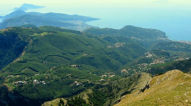 WWF ed associazioni ambientaliste sulla proprietà e gestione del Monte Faito 