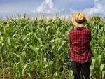 Contributi per l’imprenditoria giovanile in agricoltura. Di che si tratta e chi può beneficiarne