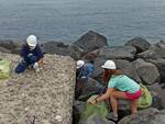 Sorrento, questa mattina la pulizia delle scogliere al porto. Di Prisco: "L'attenzione verso il mare e l'ambiente va tenuta alta e costante"